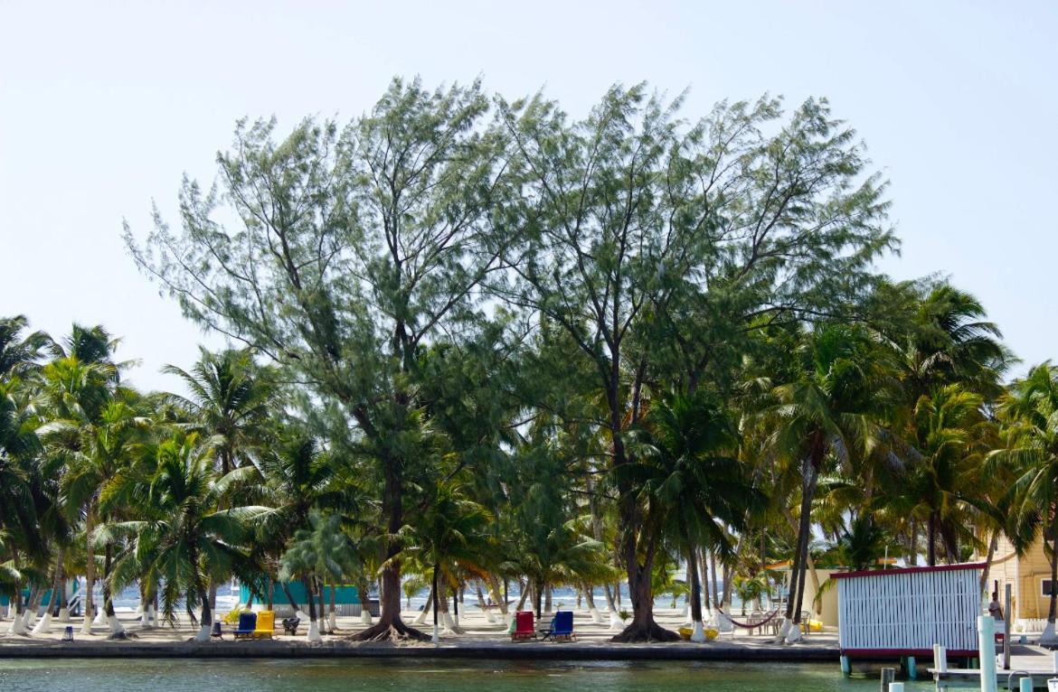 Blue Marlin Beach Resort 단그리가 외부 사진