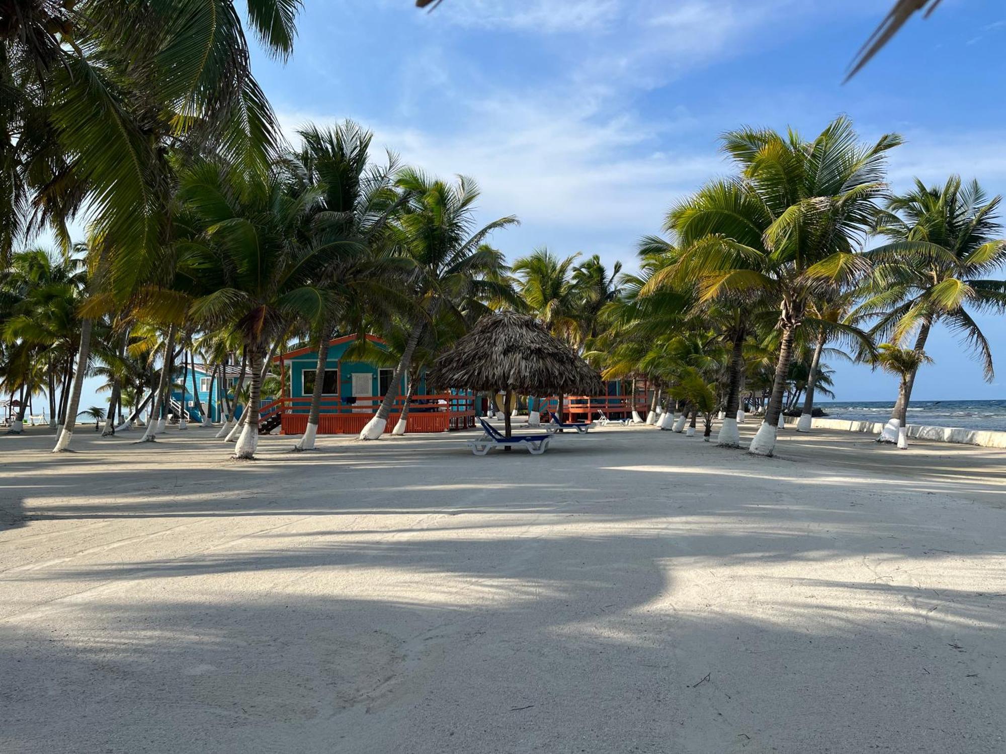 Blue Marlin Beach Resort 단그리가 외부 사진